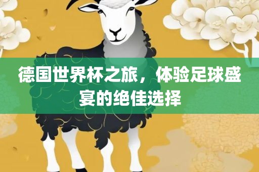 德国世界杯之旅，体验足球盛宴的绝佳选择