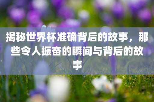 揭秘世界杯准确背后的故事，那些令人振奋的瞬间与背后的故事