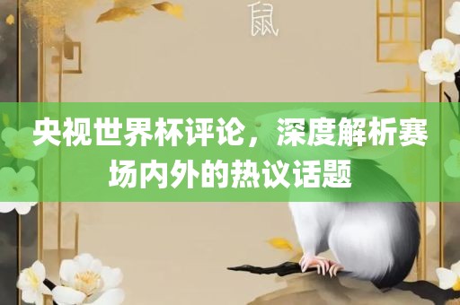 央视世界杯评论，深度解析赛场内外的热议话题