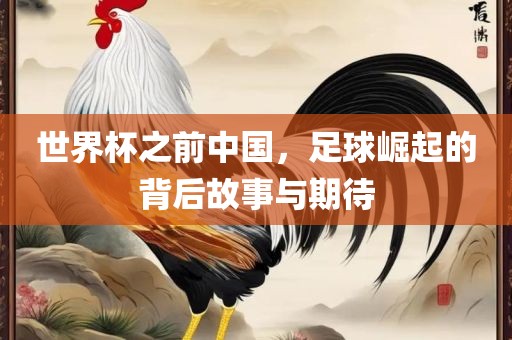 世界杯之前中国，足球崛起的背后故事与期待