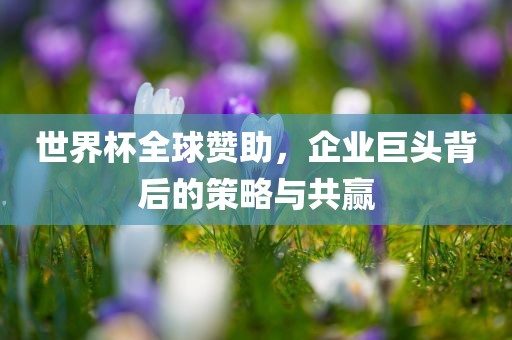 世界杯全球赞助，企业巨头背后的策略与共赢