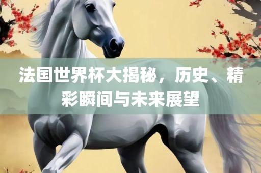 法国世界杯大揭秘，历史、精彩瞬间与未来展望