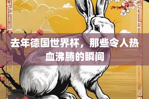 去年德国世界杯，那些令人热血沸腾的瞬间