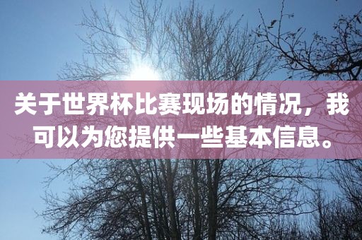 关于世界杯比赛现场的情况，我可以为您提供一些基本信息。