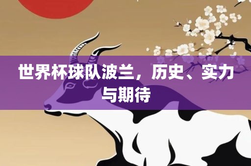世界杯球队波兰，历史、实力与期待