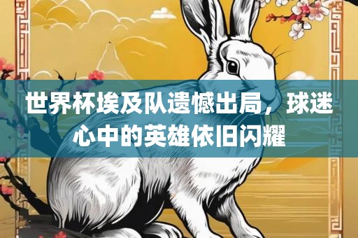 世界杯埃及队遗憾出局，球迷心中的英雄依旧闪耀