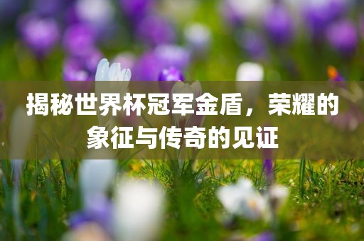揭秘世界杯冠军金盾，荣耀的象征与传奇的见证