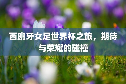西班牙女足世界杯之旅，期待与荣耀的碰撞