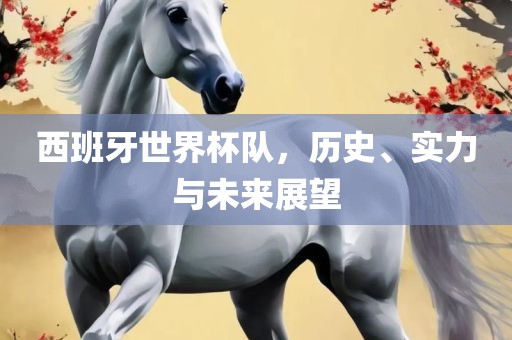 西班牙世界杯队，历史、实力与未来展望