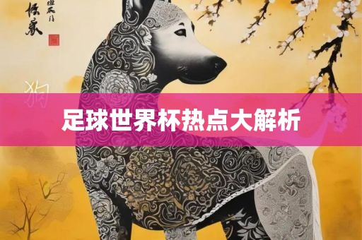 足球世界杯热点大解析