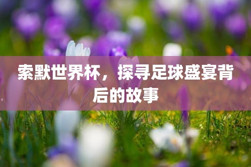 索默世界杯，探寻足球盛宴背后的故事