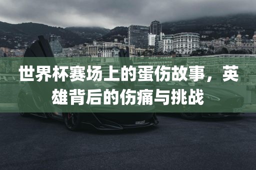 世界杯赛场上的蛋伤故事，英雄背后的伤痛与挑战