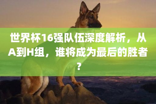 世界杯16强队伍深度解析，从A到H组，谁将成为最后的胜者？