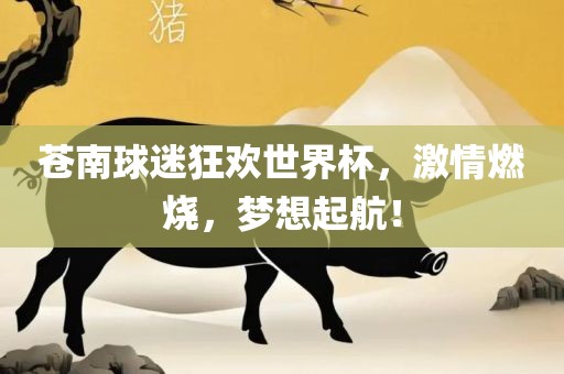 苍南球迷狂欢世界杯，激情燃烧，梦想起航！