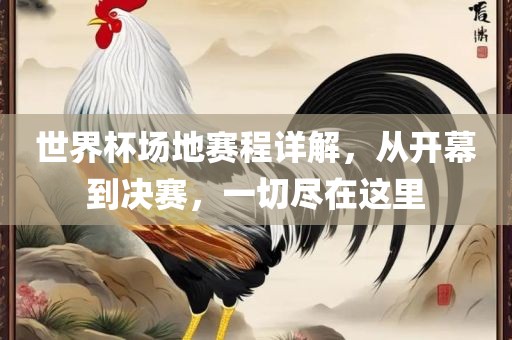 世界杯场地赛程详解，从开幕到决赛，一切尽在这里