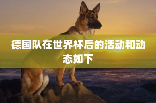 德国队在世界杯后的活动和动态如下