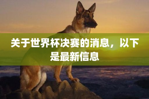 关于世界杯决赛的消息，以下是最新信息