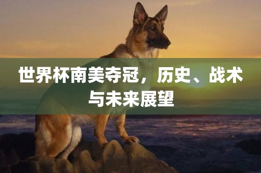 世界杯南美夺冠，历史、战术与未来展望