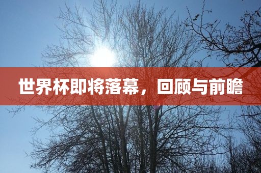 世界杯即将落幕，回顾与前瞻