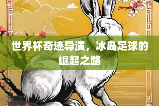 世界杯奇迹导演，冰岛足球的崛起之路