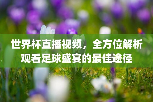 世界杯直播视频，全方位解析观看足球盛宴的最佳途径