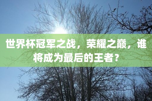 世界杯冠军之战，荣耀之巅，谁将成为最后的王者？