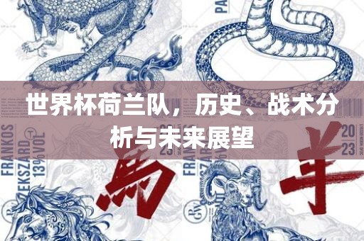 世界杯荷兰队，历史、战术分析与未来展望