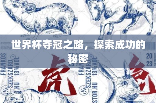 世界杯夺冠之路，探索成功的秘密