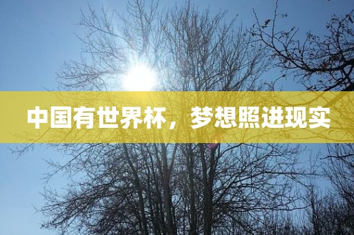 中国有世界杯，梦想照进现实