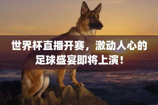 世界杯直播开赛，激动人心的足球盛宴即将上演！