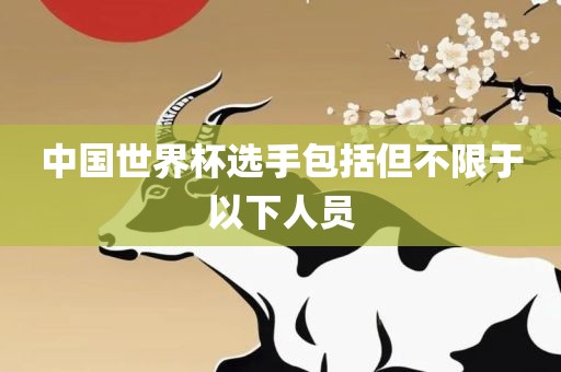 中国世界杯选手包括但不限于以下人员