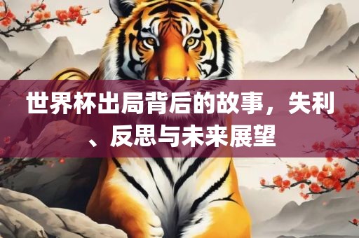 世界杯出局背后的故事，失利、反思与未来展望