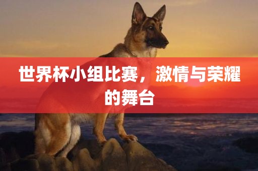 世界杯小组比赛，激情与荣耀的舞台