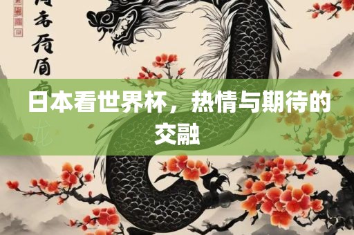 日本看世界杯，热情与期待的交融