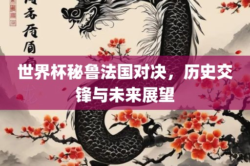 世界杯秘鲁法国对决，历史交锋与未来展望