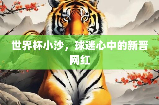 世界杯小沙，球迷心中的新晋网红