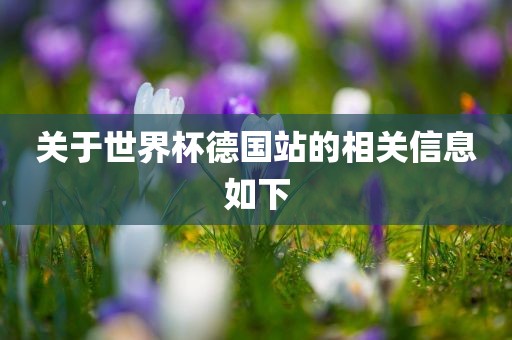 关于世界杯德国站的相关信息如下