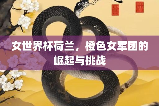 女世界杯荷兰，橙色女军团的崛起与挑战