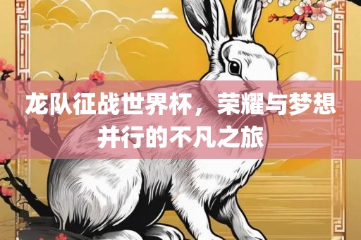 龙队征战世界杯，荣耀与梦想并行的不凡之旅