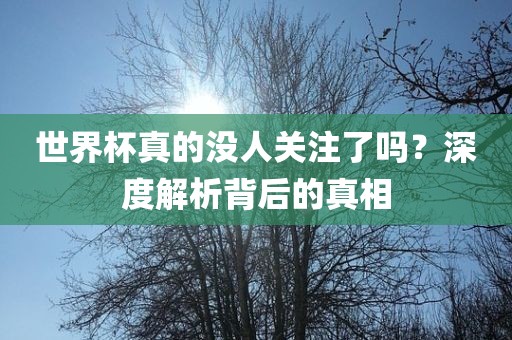 世界杯真的没人关注了吗？深度解析背后的真相