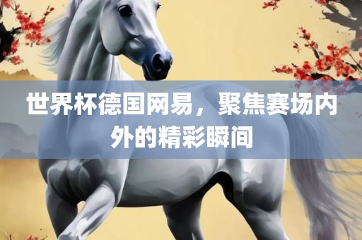 世界杯德国网易，聚焦赛场内外的精彩瞬间
