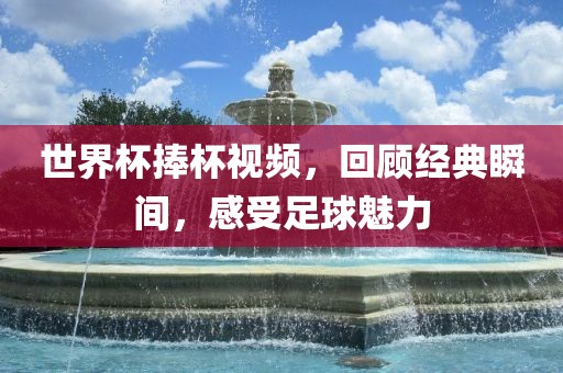 世界杯捧杯视频，回顾经典瞬间，感受足球魅力