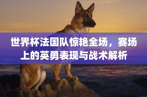 世界杯法国队惊艳全场，赛场上的英勇表现与战术解析