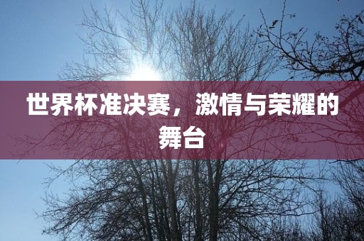 世界杯准决赛，激情与荣耀的舞台