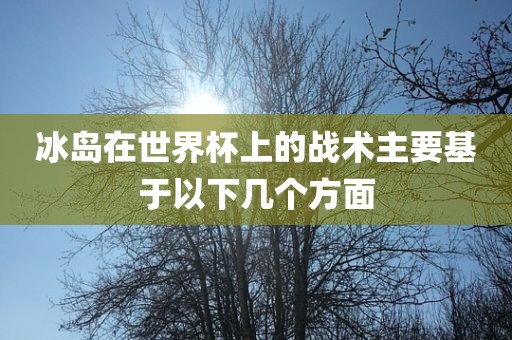 冰岛在世界杯上的战术主要基于以下几个方面