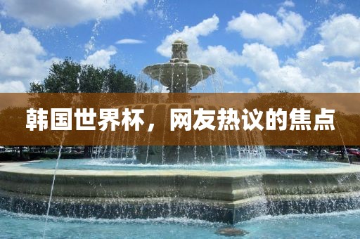 韩国世界杯，网友热议的焦点