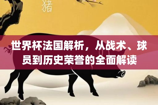 世界杯法国解析，从战术、球员到历史荣誉的全面解读