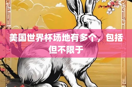 美国世界杯场地有多个，包括但不限于