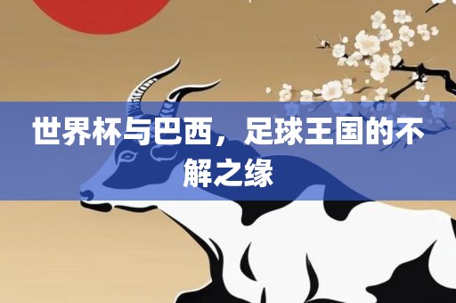 世界杯与巴西，足球王国的不解之缘