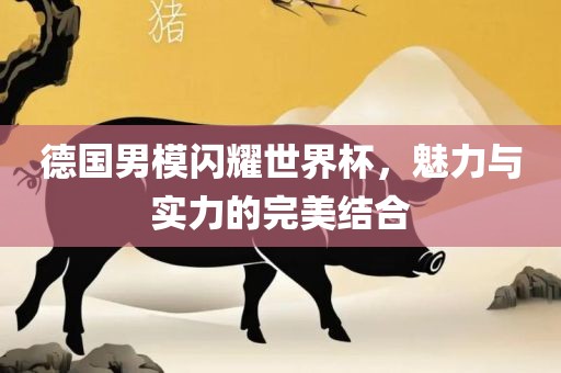 德国男模闪耀世界杯，魅力与实力的完美结合